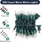 200-Count Clear Christmas Lights with Green Wire - 40 ft Warm White Easter Lights for Indoor and Outdoor Use